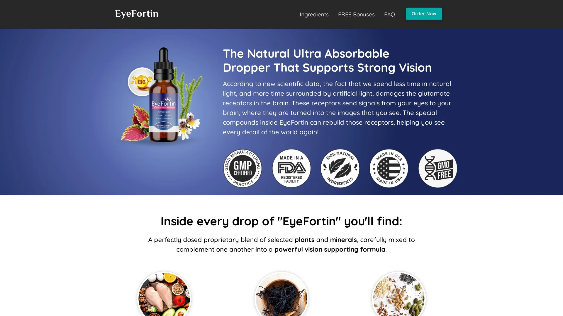 Descrição da imagem